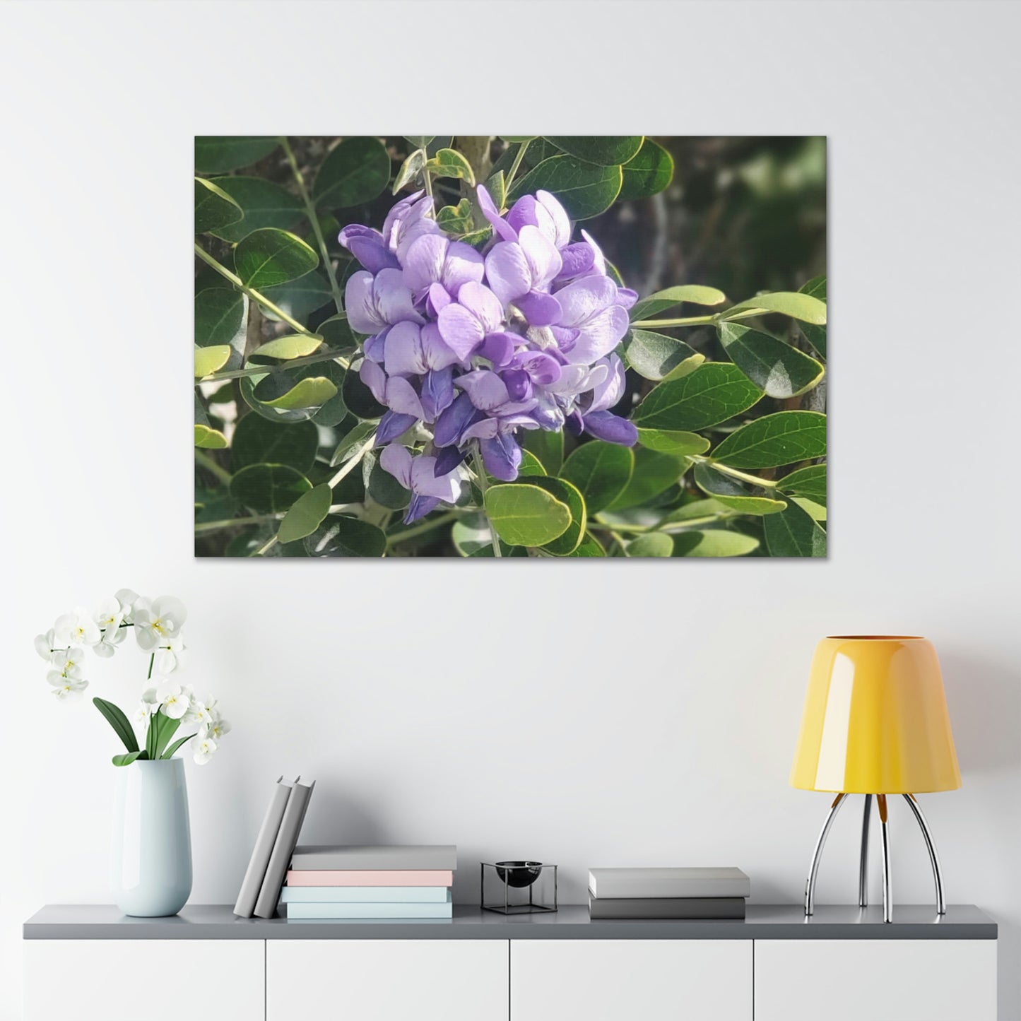 Purple Texas Mountain Laurel | Wall Art Canvas