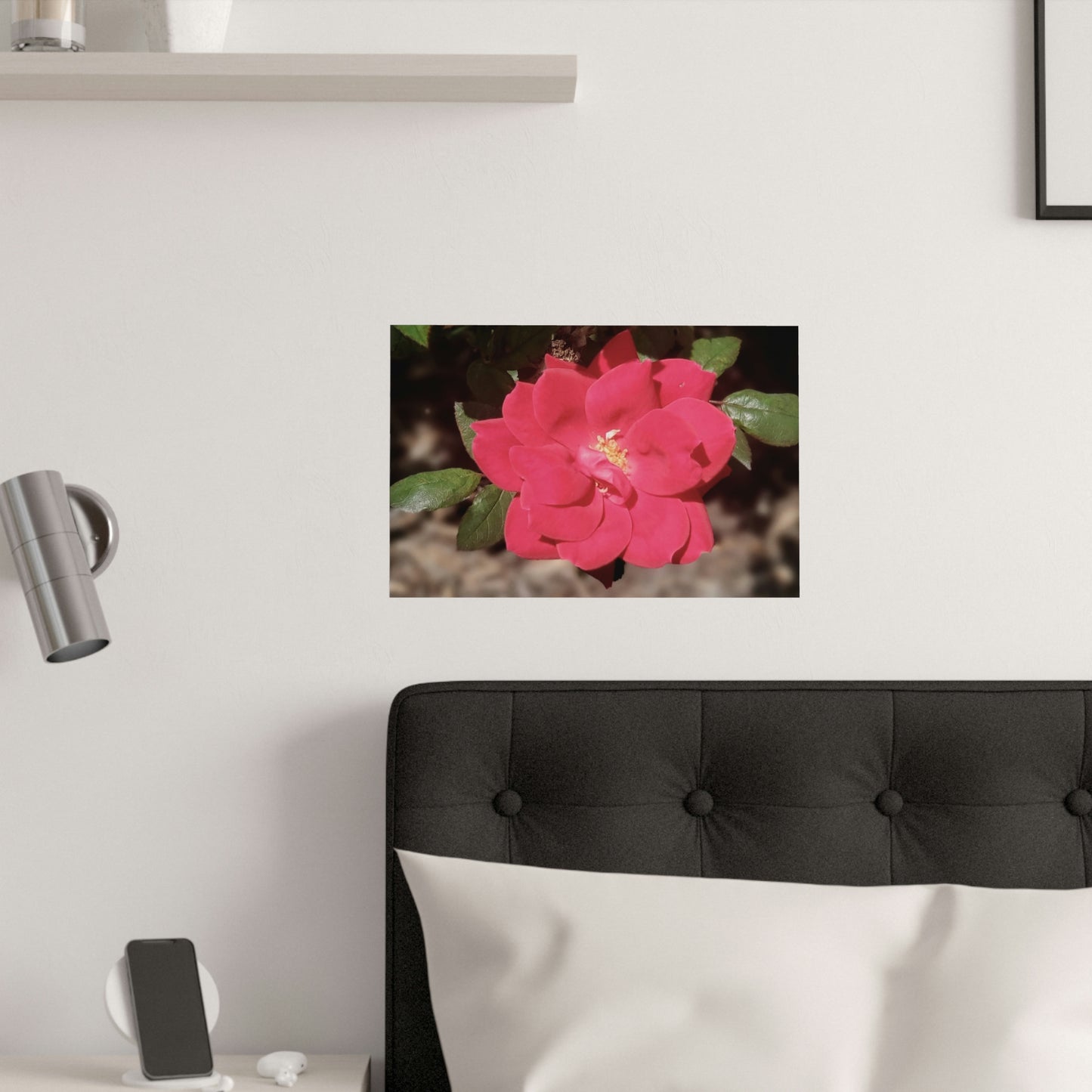 Knockout | Satin Posters (210gsm) | High Bloom Collection | Life By Ortavia