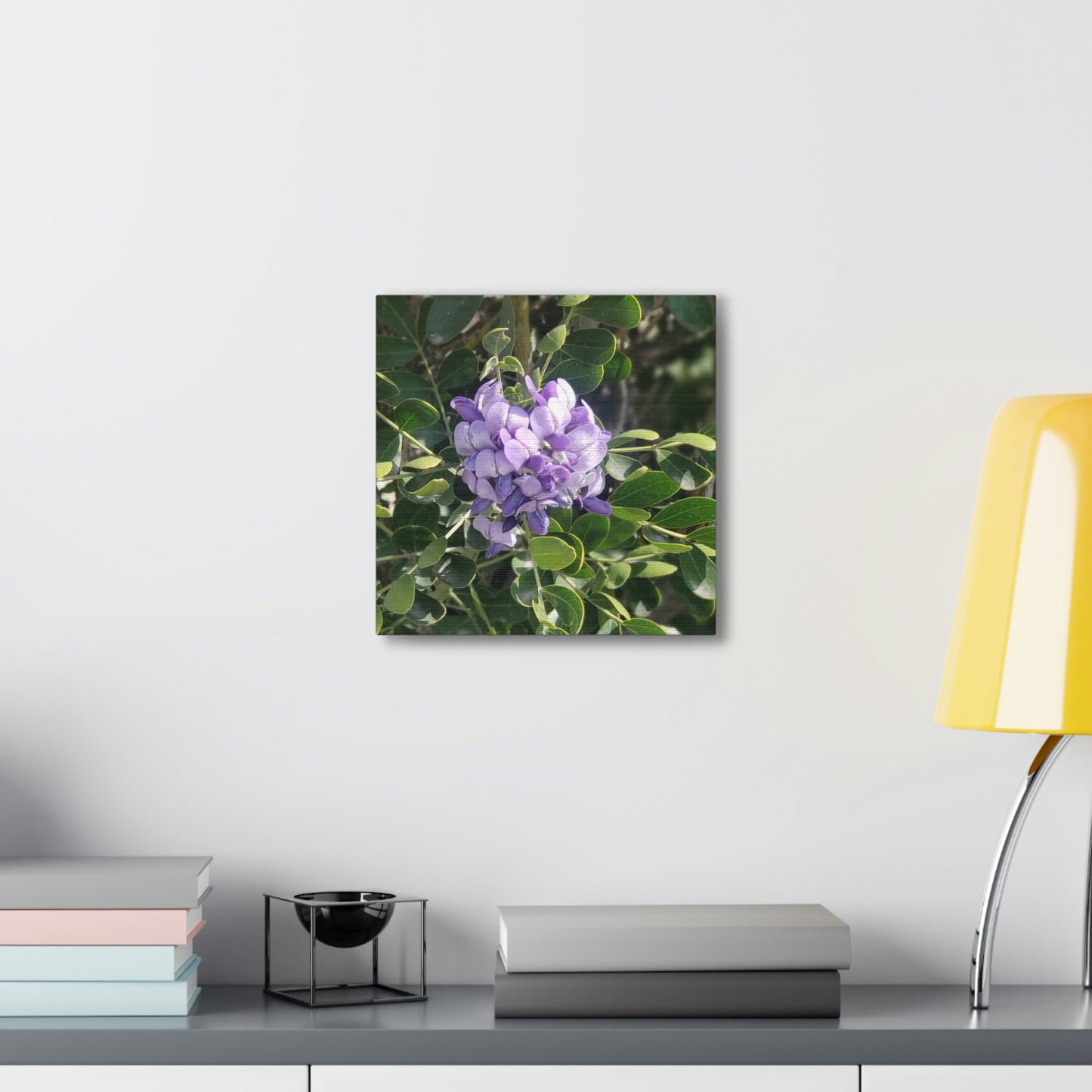 Purple Texas Mountain Laurel | Wall Art Canvas