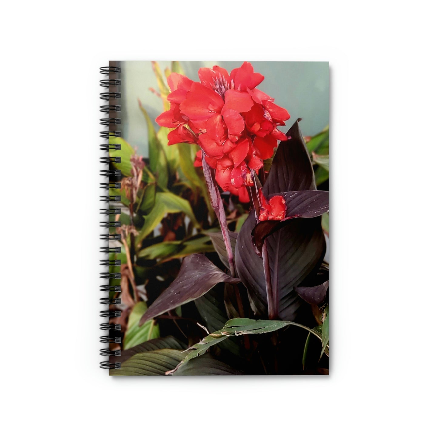 Red Canna | Spiral Notebook 118 pg Ruled | High Bloom Collection | Life By Ortavia