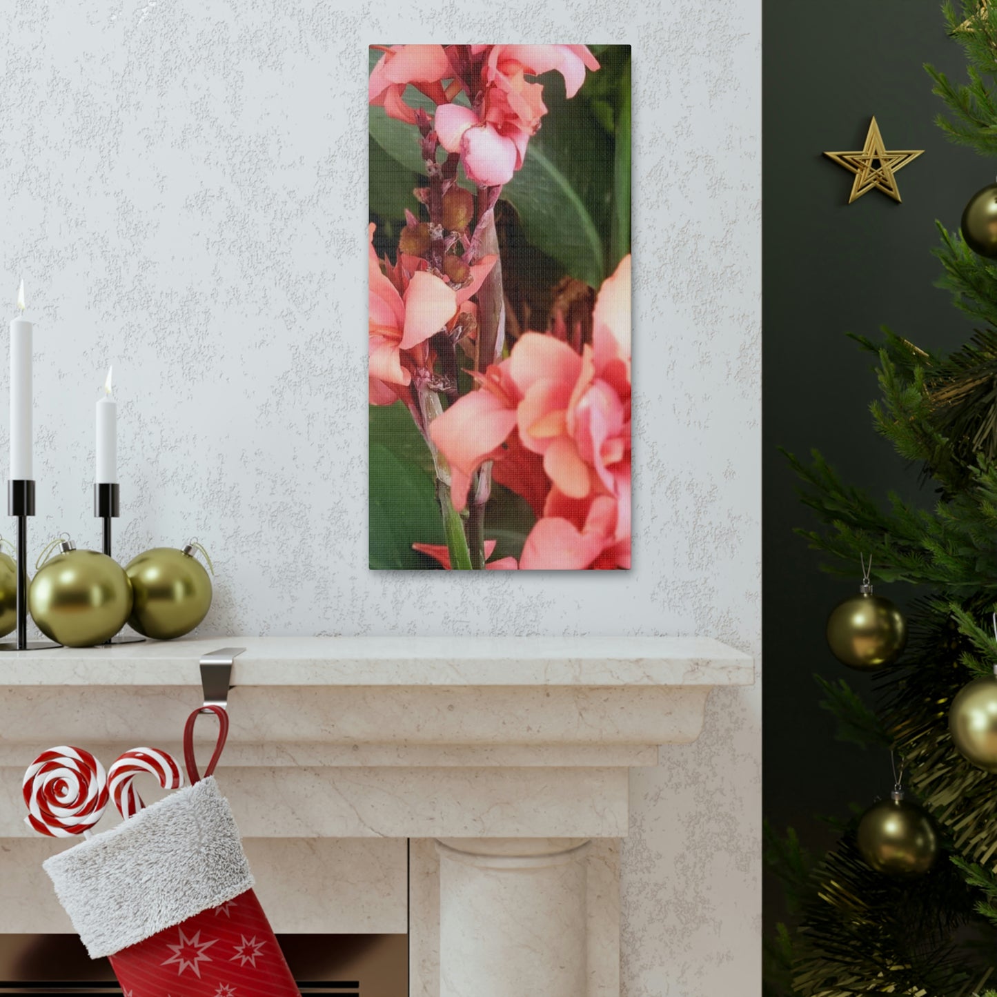 Art Prints & Wall Art, Canvas Gallery with Pink Canna Flower