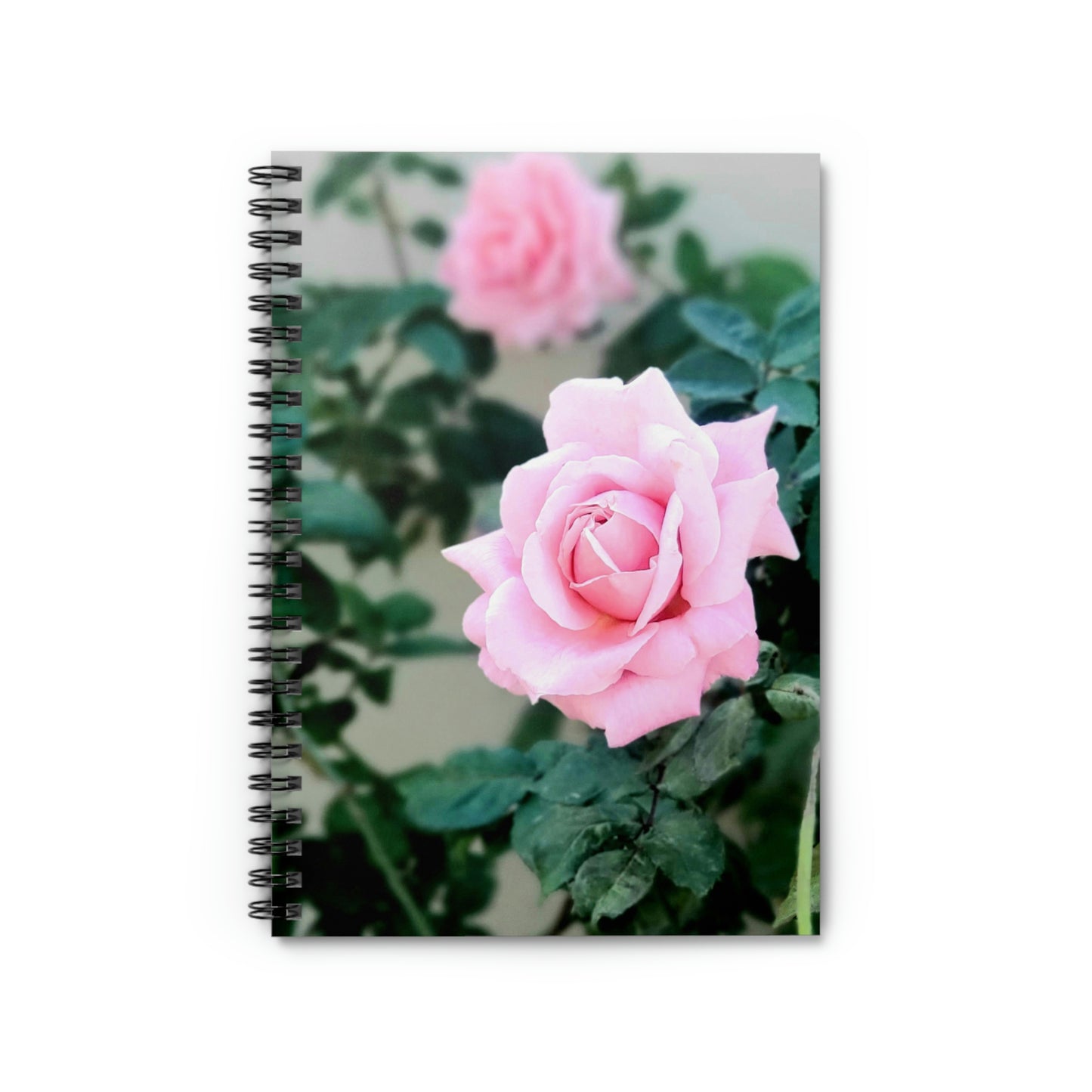 Focus On A Pink Rose | Spiral Notebook 118 pg Ruled | High Bloom Collection | Life By Ortavia