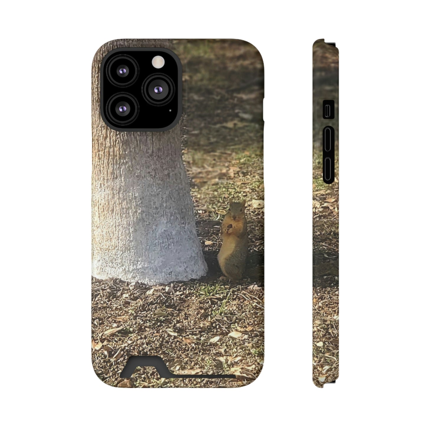 Squirrel and A Nut | Phone Case with Card Holder | Urban Geographic Collection | Life By Ortavia
