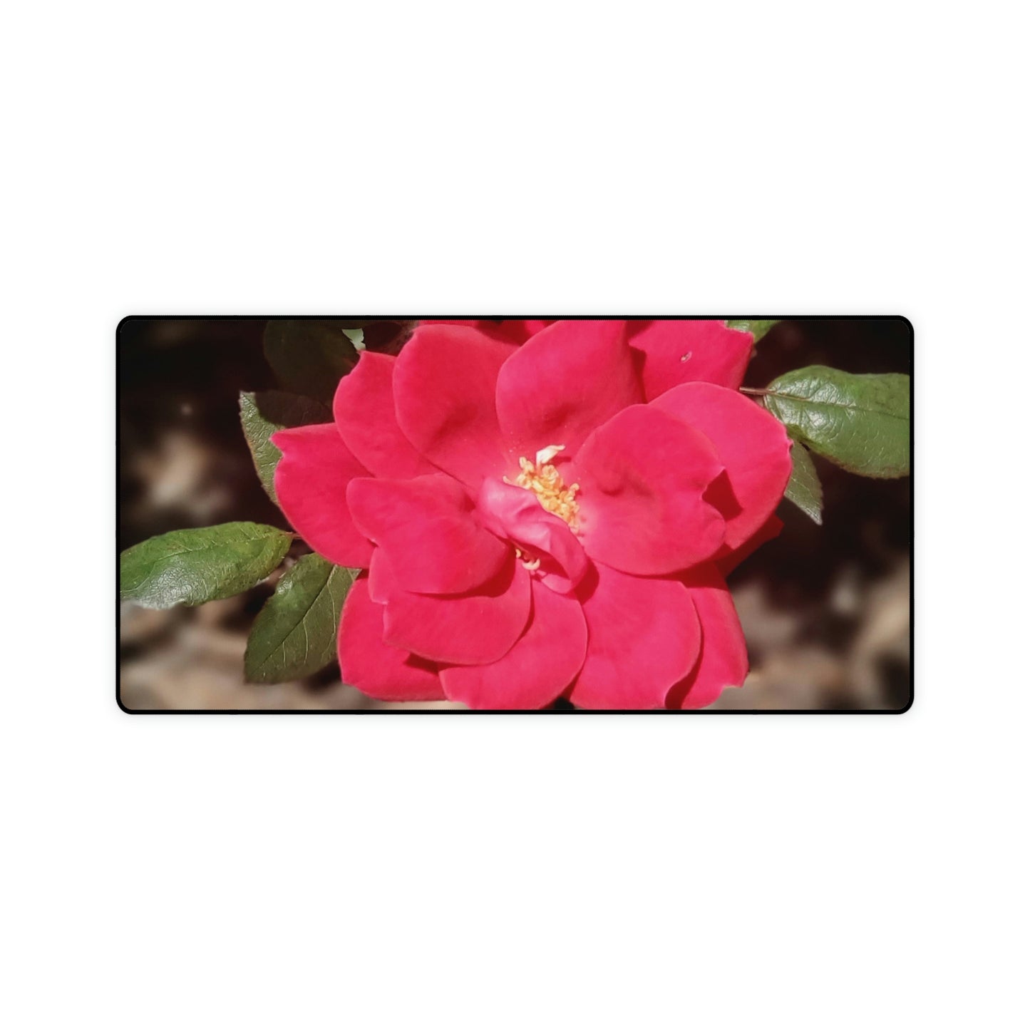 Knockout | High Bloom Collection | Desk Mat | Life By Ortavia