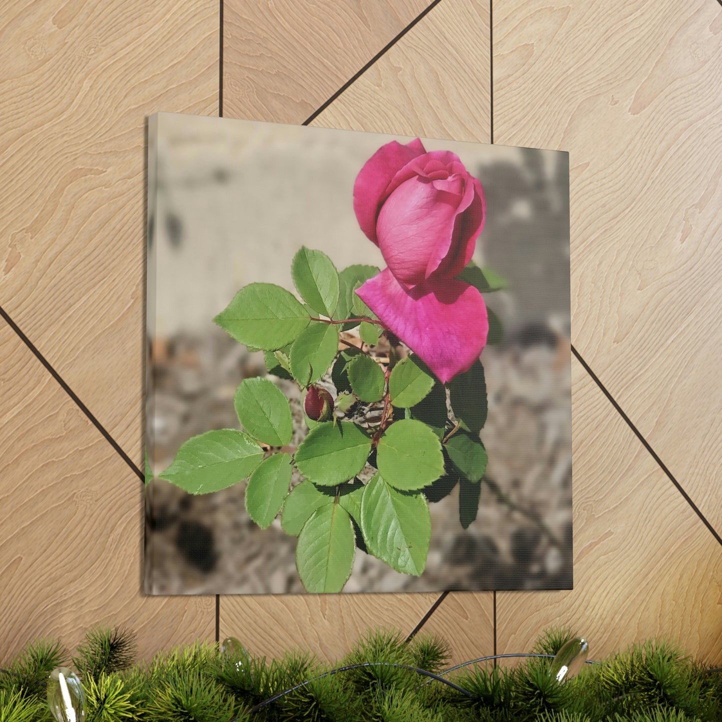 Dear Pink Rosa | High Bloom Collection | Canvas | Life By Ortavia