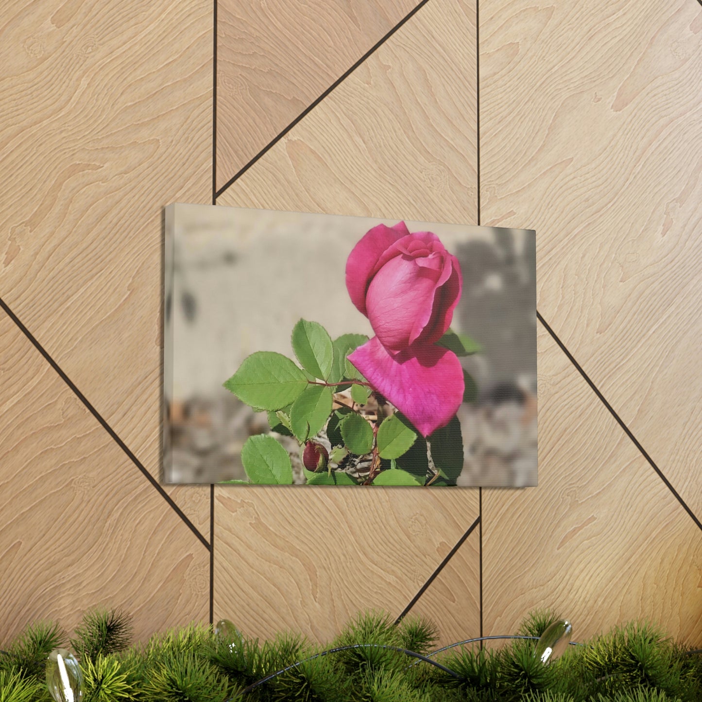 Dear Pink Rosa | High Bloom Collection | Canvas | Life By Ortavia
