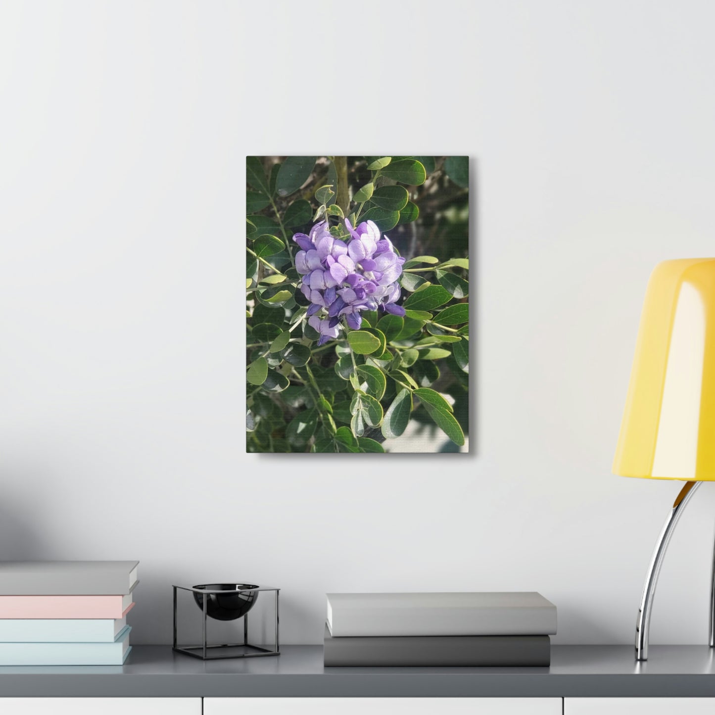 Purple Texas Mountain Laurel | Wall Art Canvas