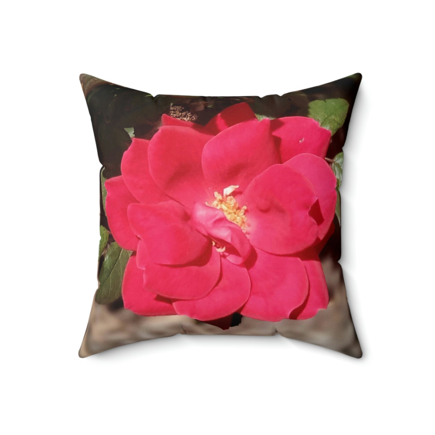Knockout | Throw Pillow | High Bloom Collection | Life By Ortavia