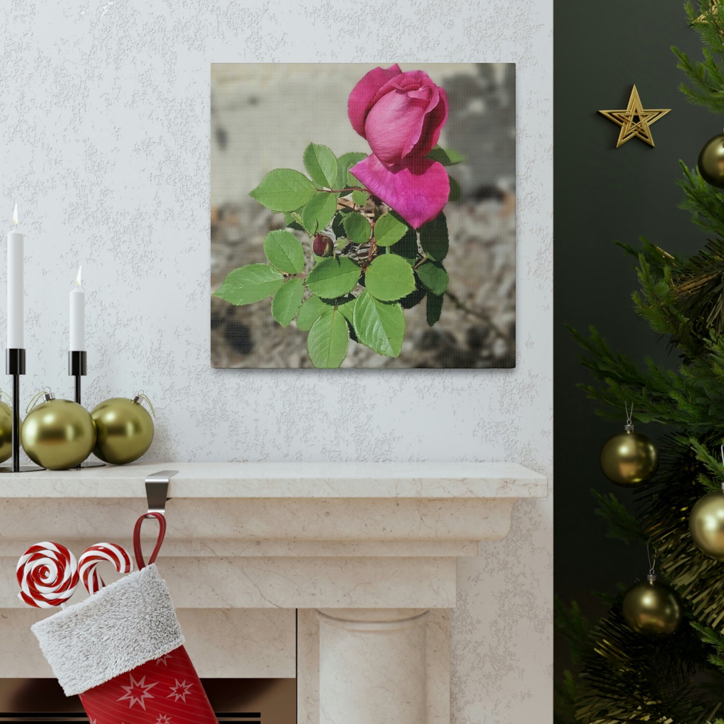 Dear Pink Rosa | High Bloom Collection | Canvas | Life By Ortavia
