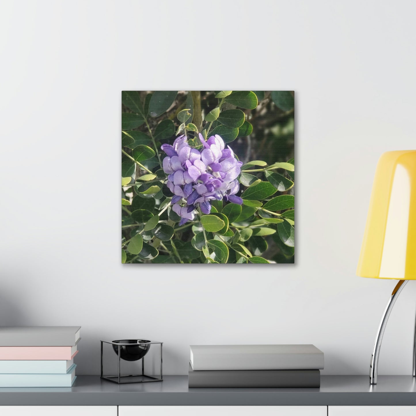 Purple Texas Mountain Laurel | Wall Art Canvas