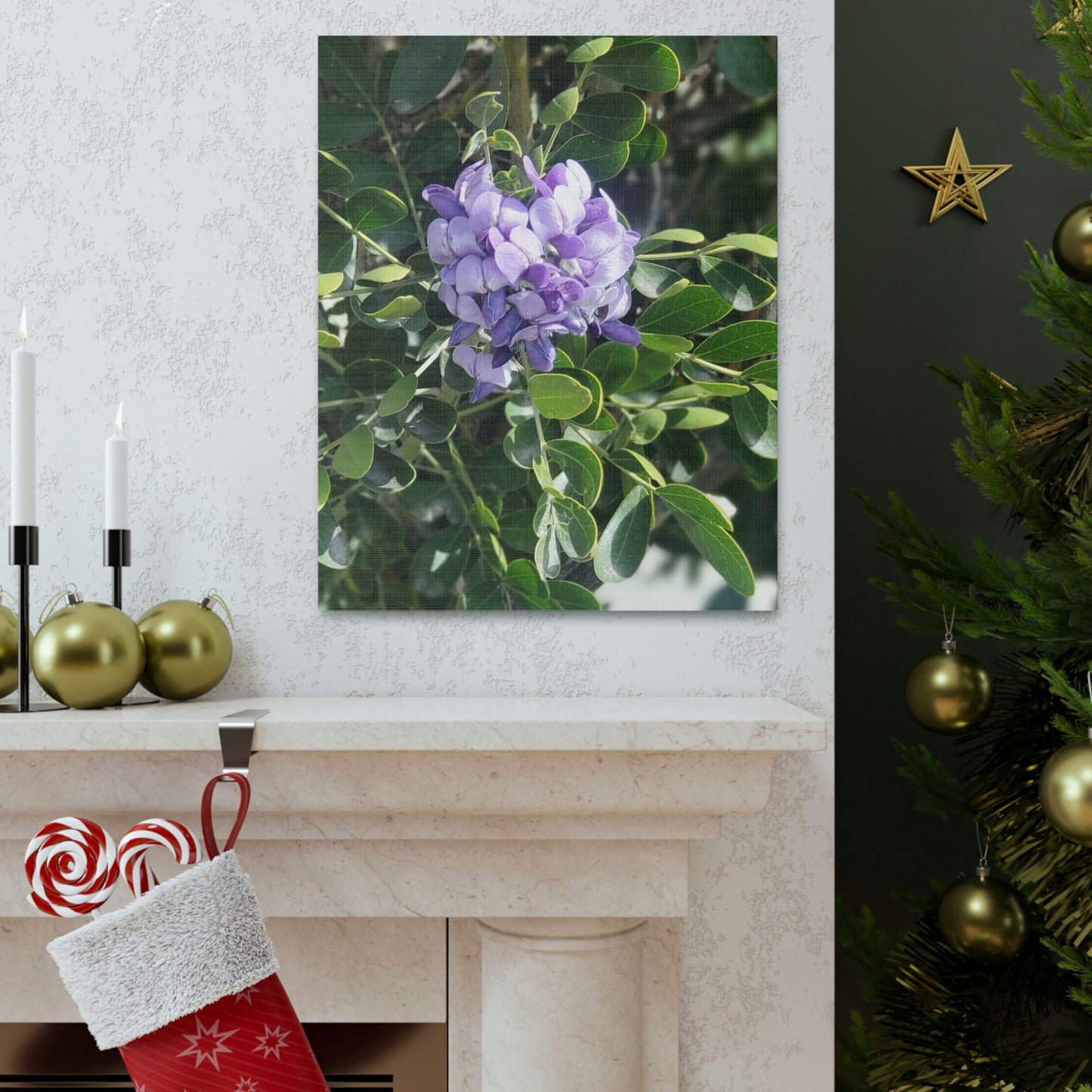 Purple Texas Mountain Laurel | Wall Art Canvas