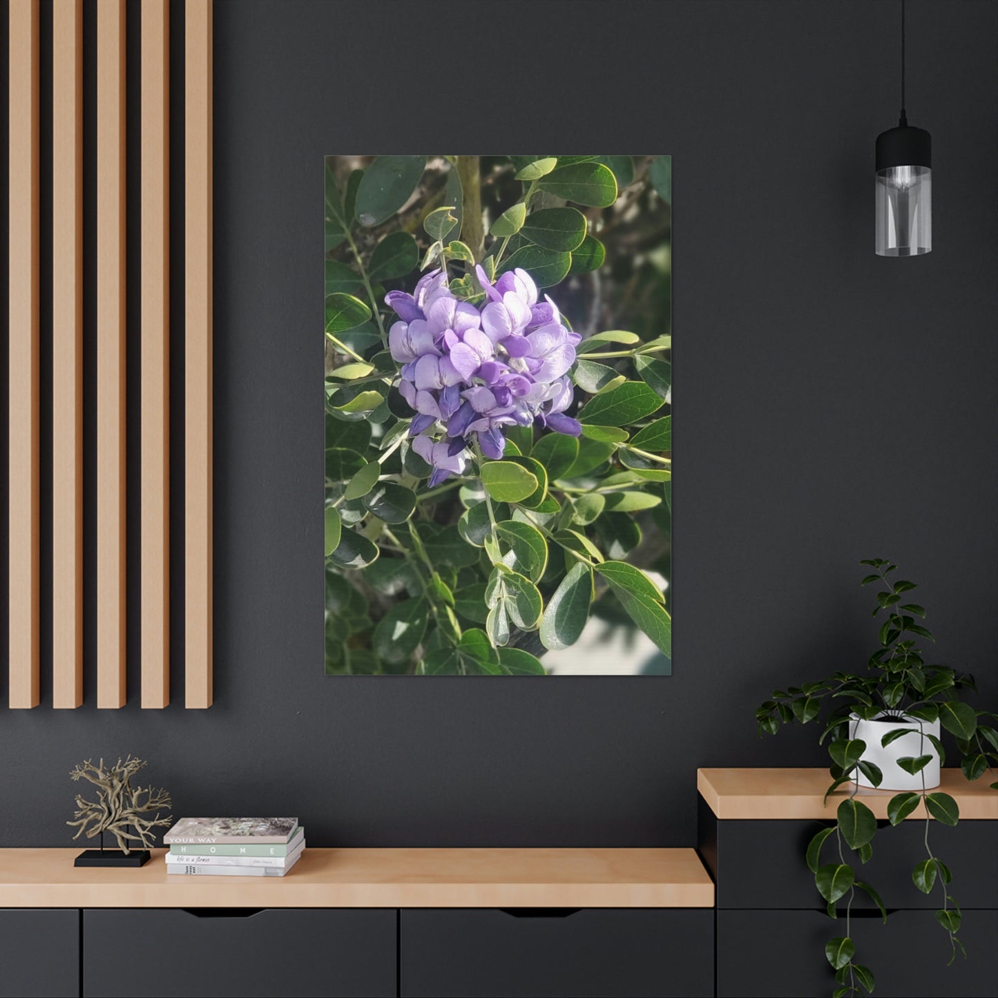 Purple Texas Mountain Laurel | Wall Art Canvas