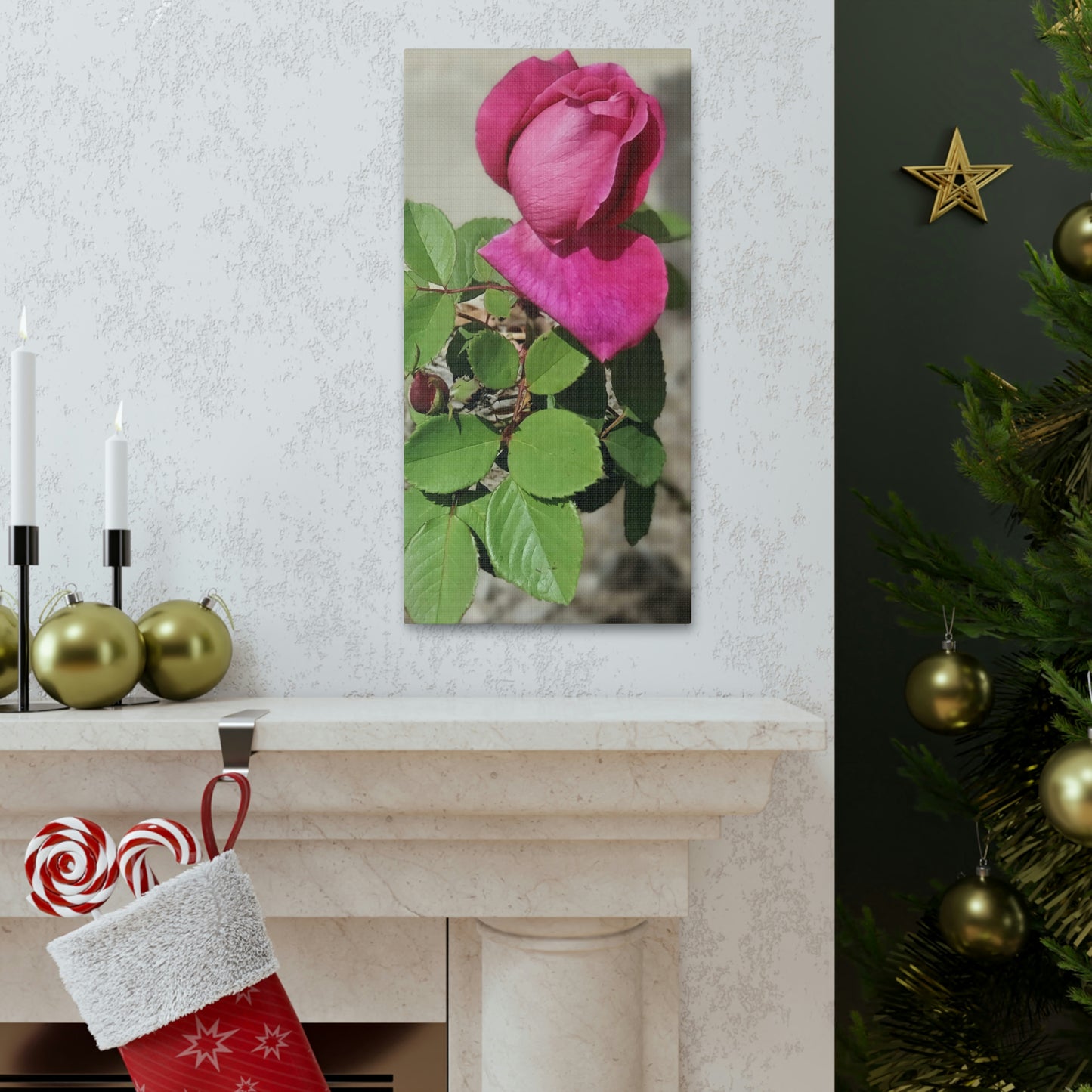 Dear Pink Rosa | High Bloom Collection | Canvas | Life By Ortavia