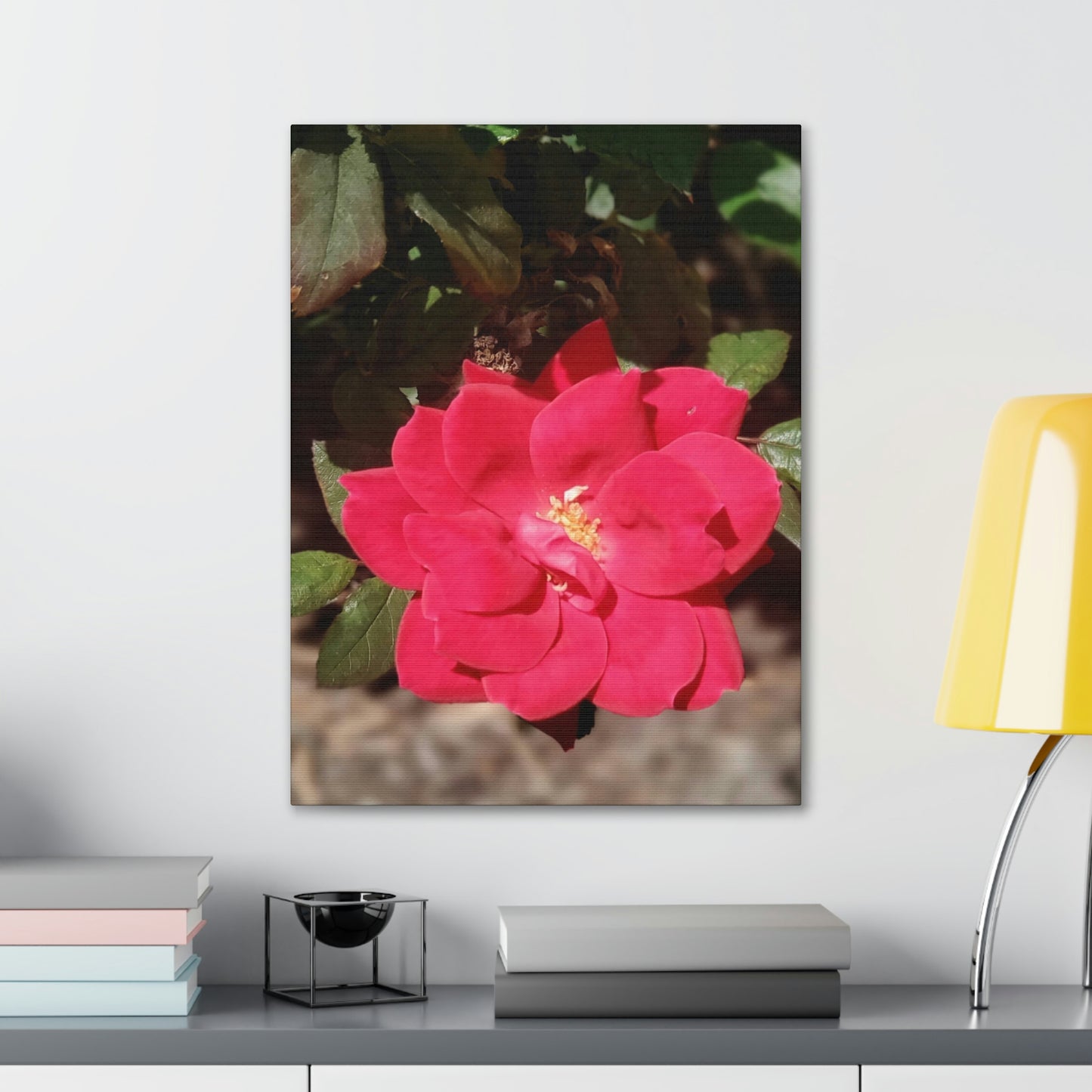 Knockout | Wall Art Print | High Bloom Collection | Life By Ortavia