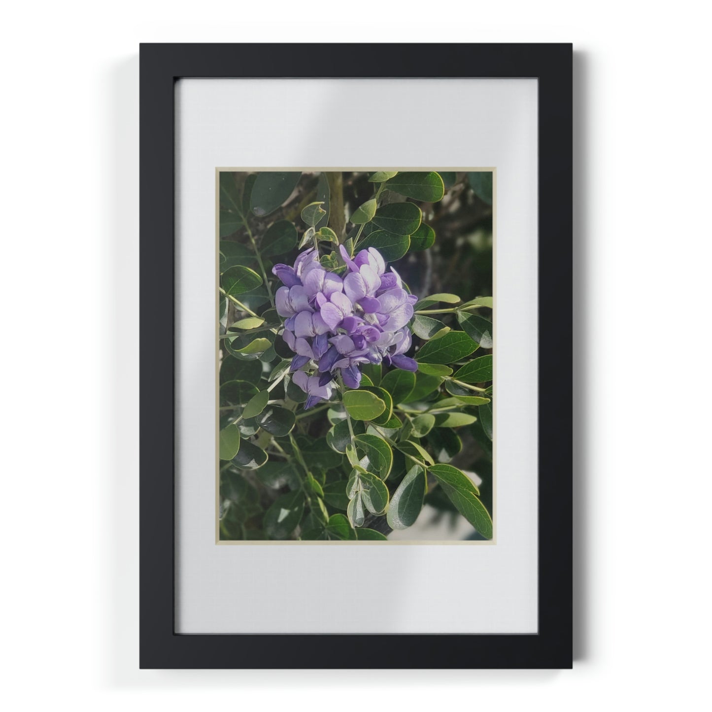 Framed Posters, Black