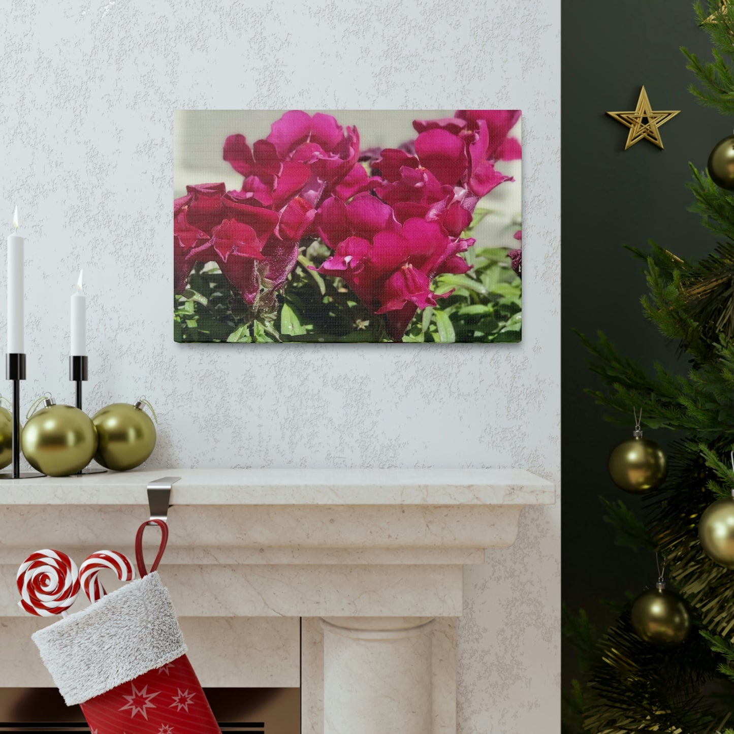 Magenta Snapdragon | Wall Art Canvas | High Bloom Collection | Life By Ortavia