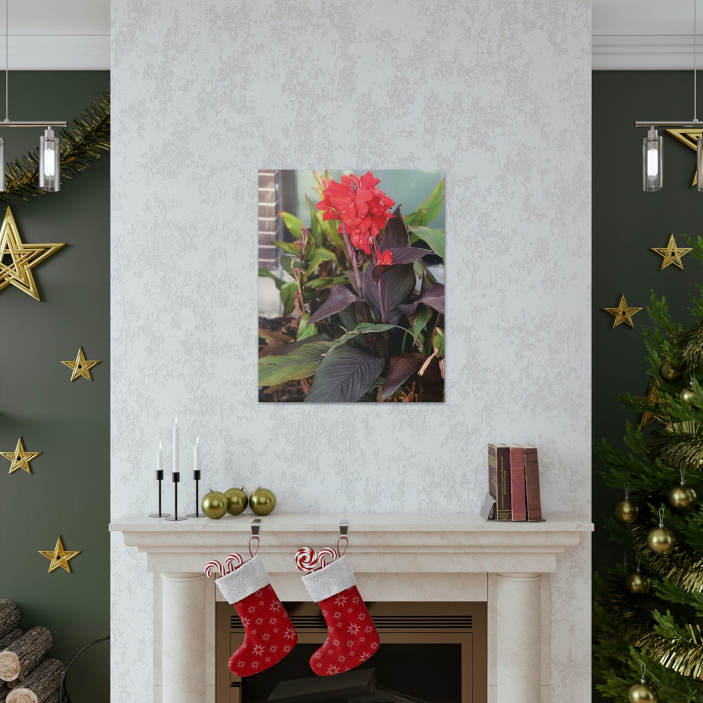 Red Canna | High Bloom Collection | Wall Art Print | Life By Ortavia
