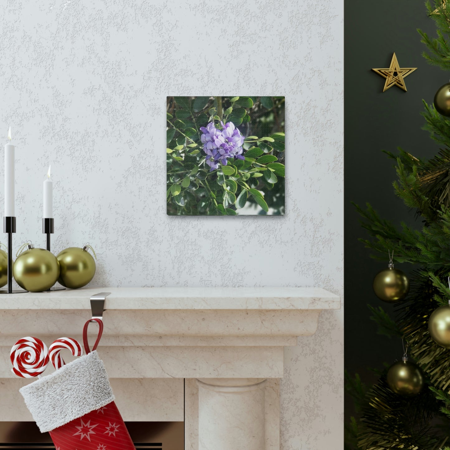 Purple Texas Mountain Laurel | Wall Art Canvas