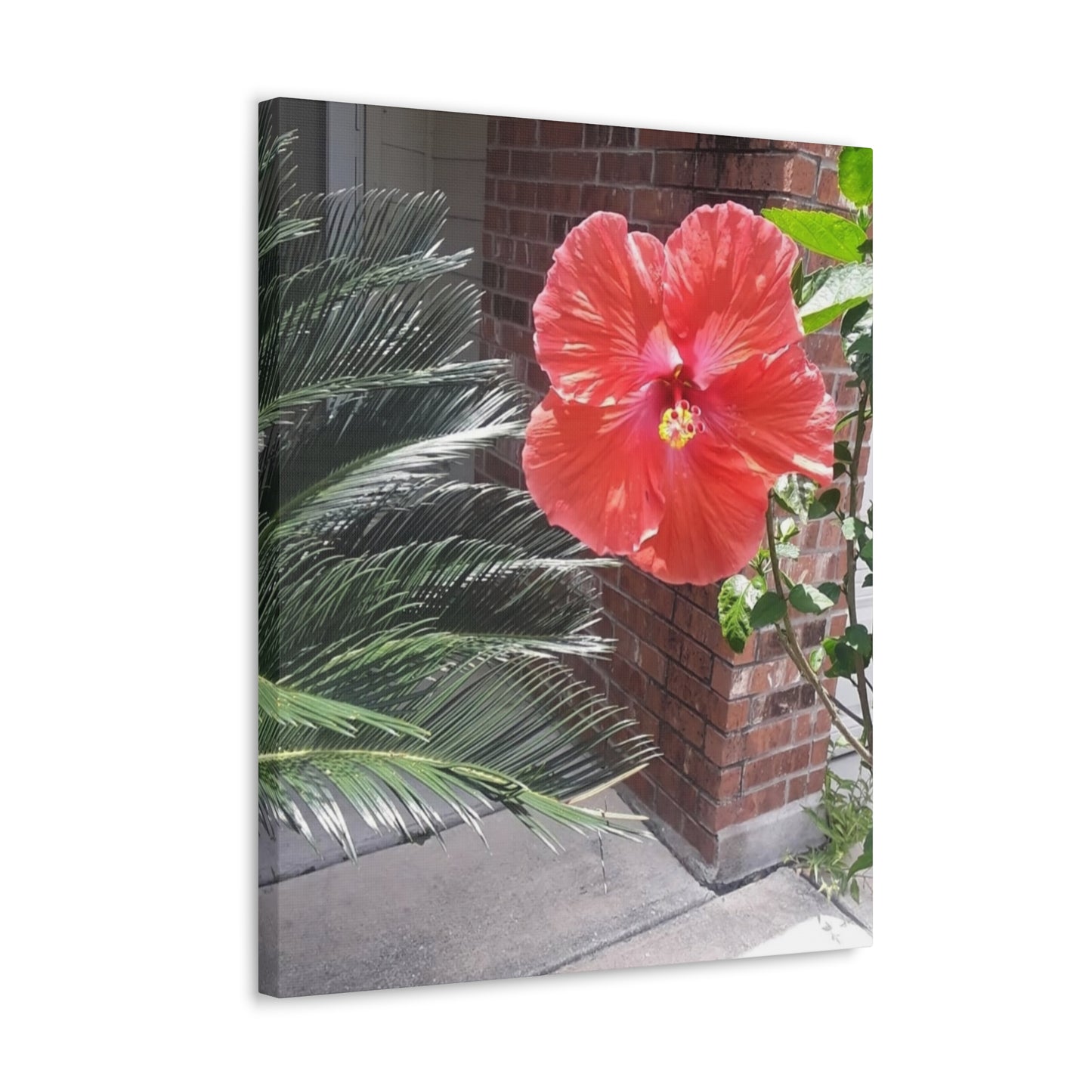 Art Prints & Wall Art, Gallery Canvas with Peach Hibiscus Flower