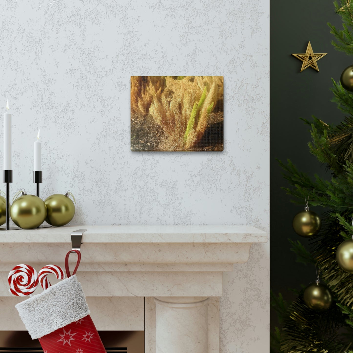 Golden Foxtail Fern | Wall Art Canvas | High Bloom Collection | Life By Ortavia