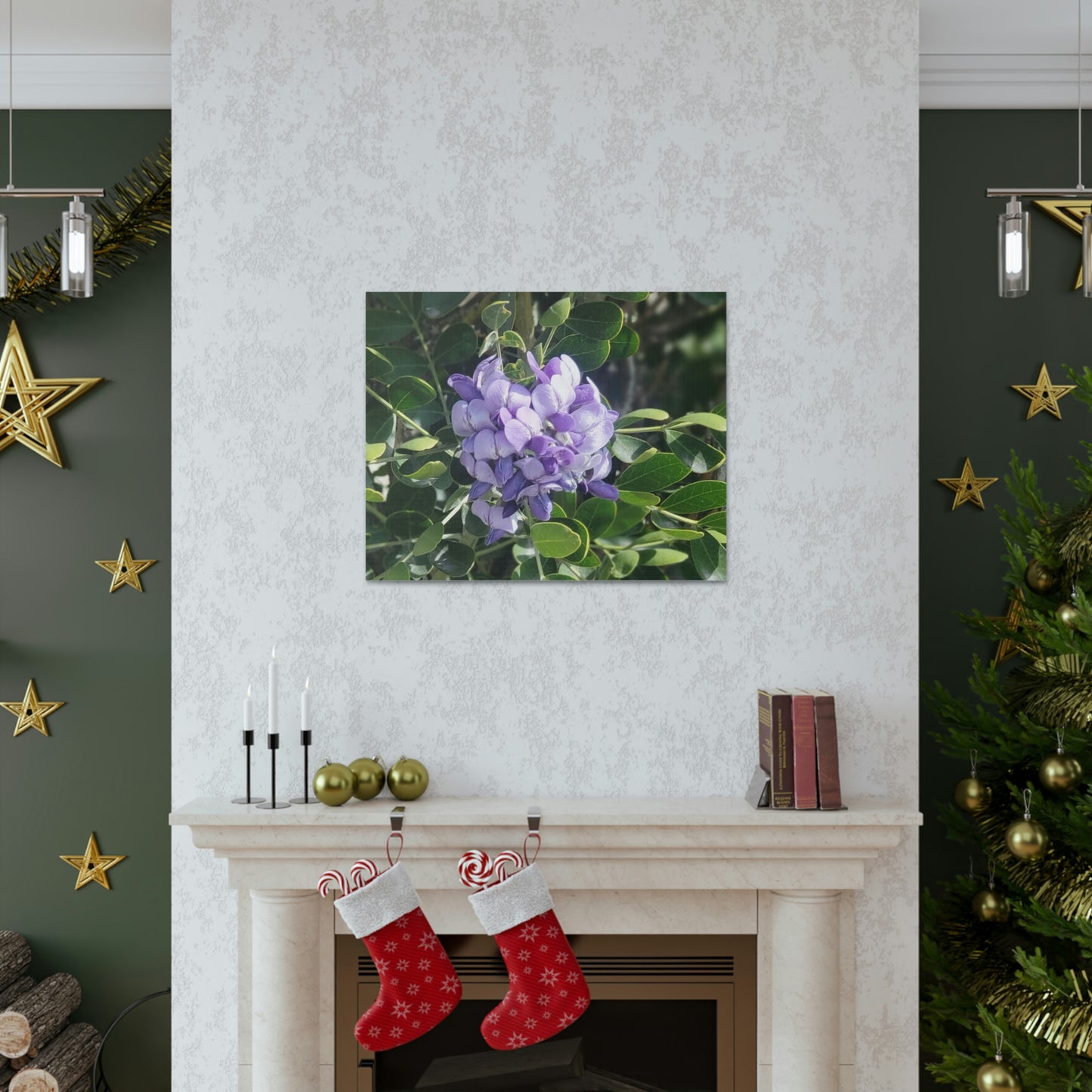 Purple Texas Mountain Laurel | Wall Art Canvas