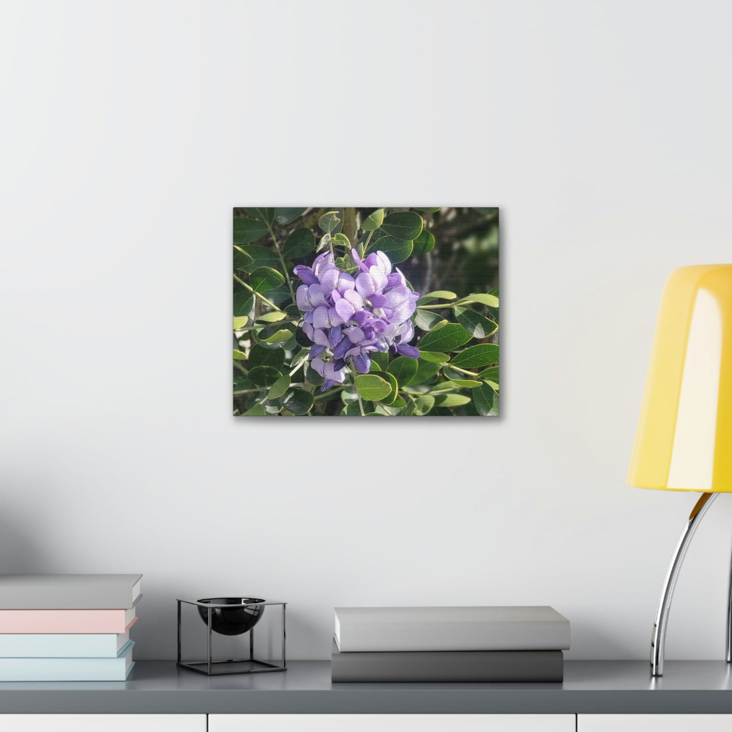 Purple Texas Mountain Laurel | Wall Art Canvas