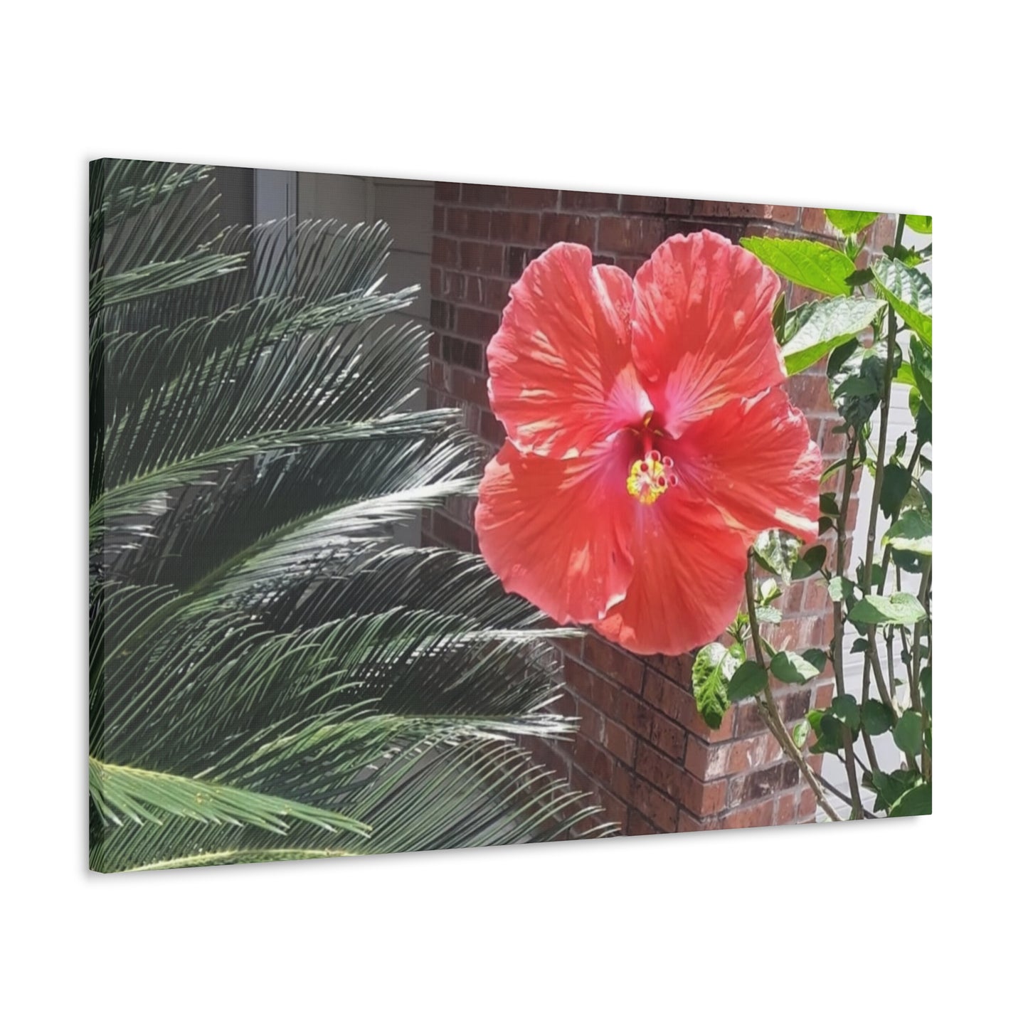 Art Prints & Wall Art, Gallery Canvas with Peach Hibiscus Flower