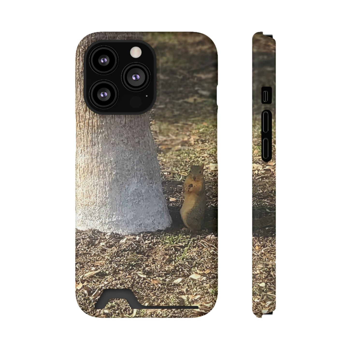 Squirrel and A Nut | Phone Case with Card Holder | Urban Geographic Collection | Life By Ortavia