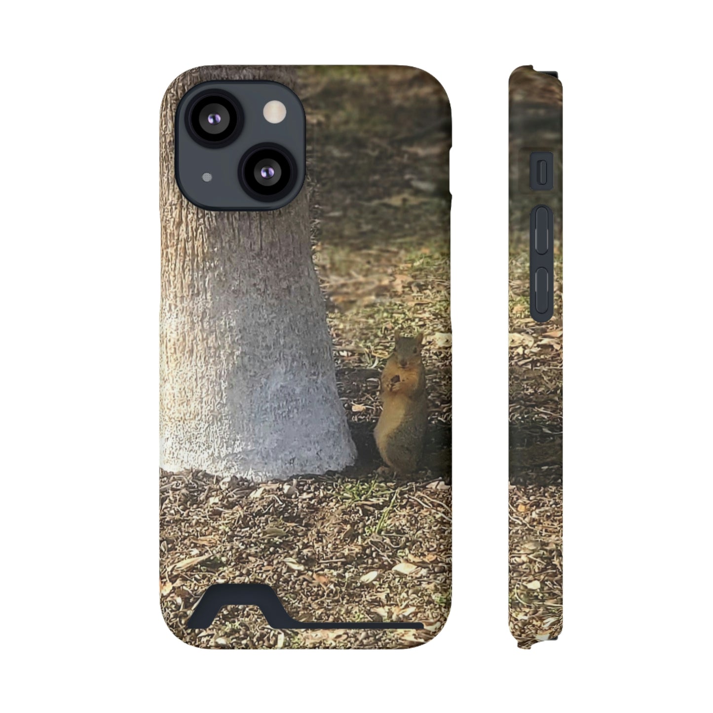 Squirrel and A Nut | Phone Case with Card Holder | Urban Geographic Collection | Life By Ortavia