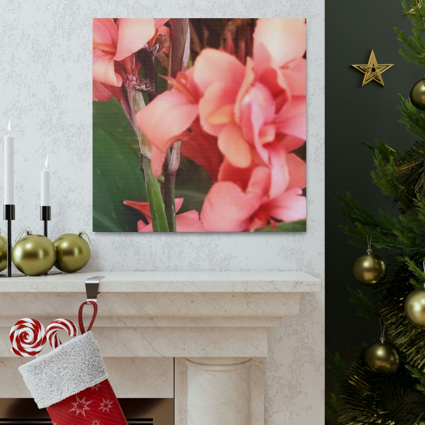 Art Prints & Wall Art, Canvas Gallery with Pink Canna Flower