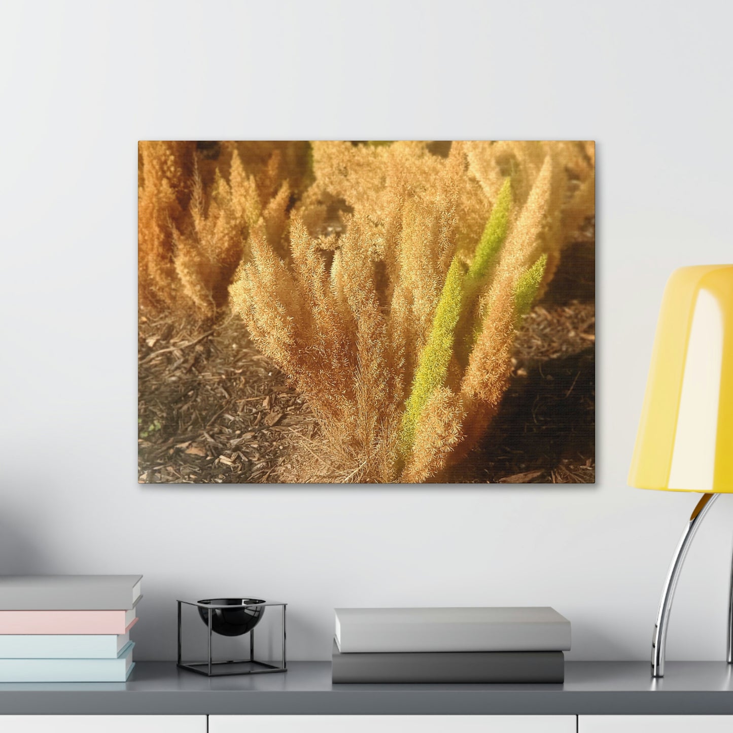 Golden Foxtail Fern | Wall Art Canvas | High Bloom Collection | Life By Ortavia