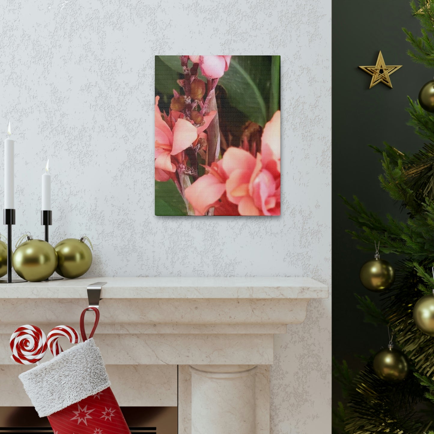 Art Prints & Wall Art, Canvas Gallery with Pink Canna Flower