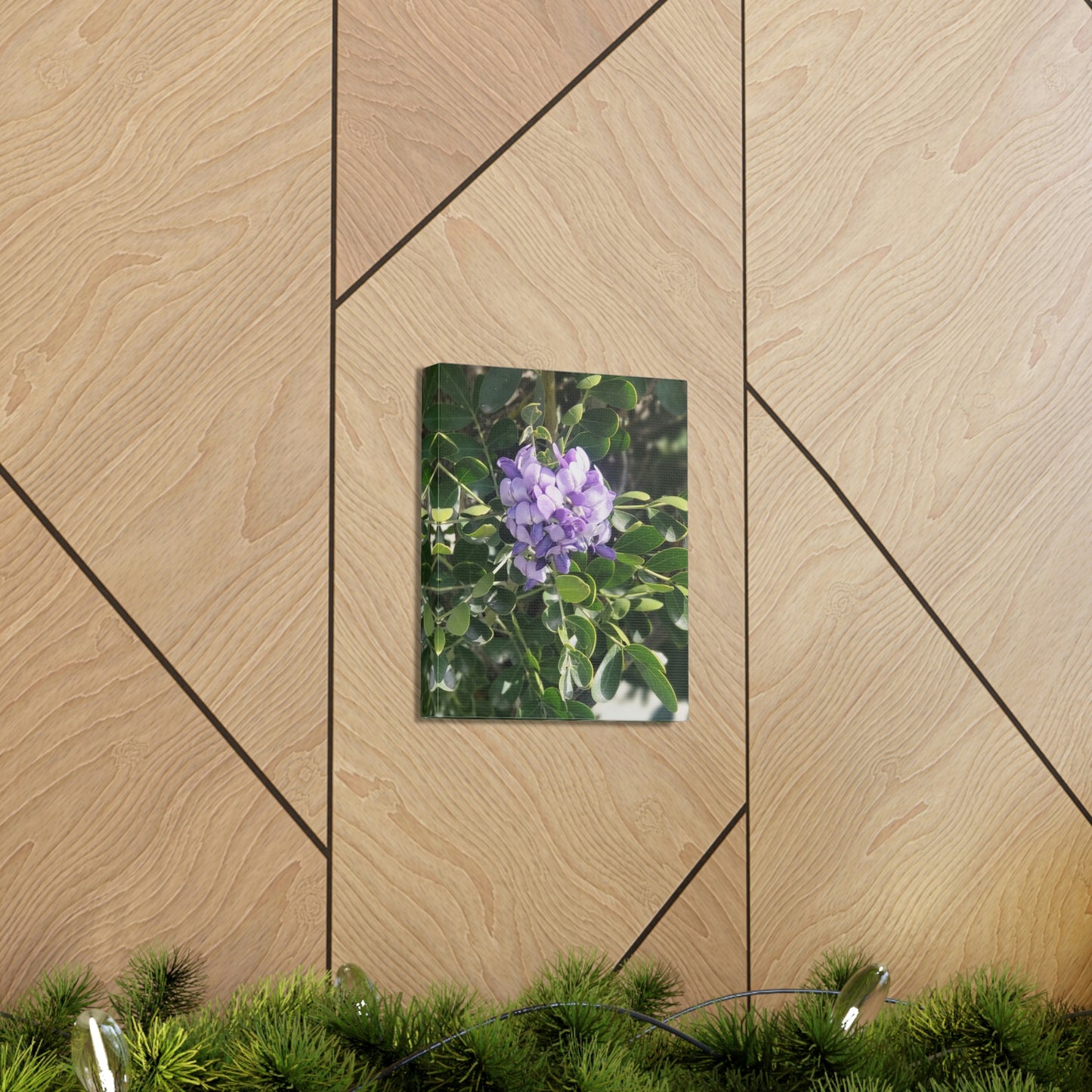 Purple Texas Mountain Laurel | Wall Art Canvas