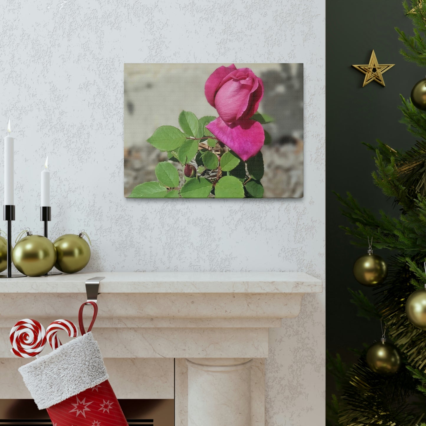 Dear Pink Rosa | High Bloom Collection | Canvas | Life By Ortavia
