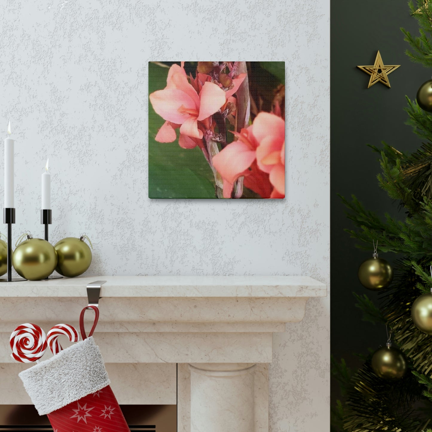 Art Prints & Wall Art, Canvas Gallery with Pink Canna Flower