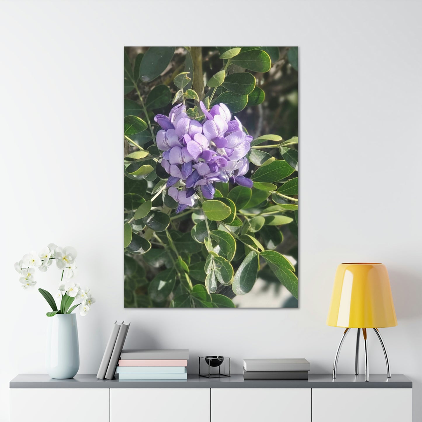 Purple Texas Mountain Laurel | Wall Art Canvas