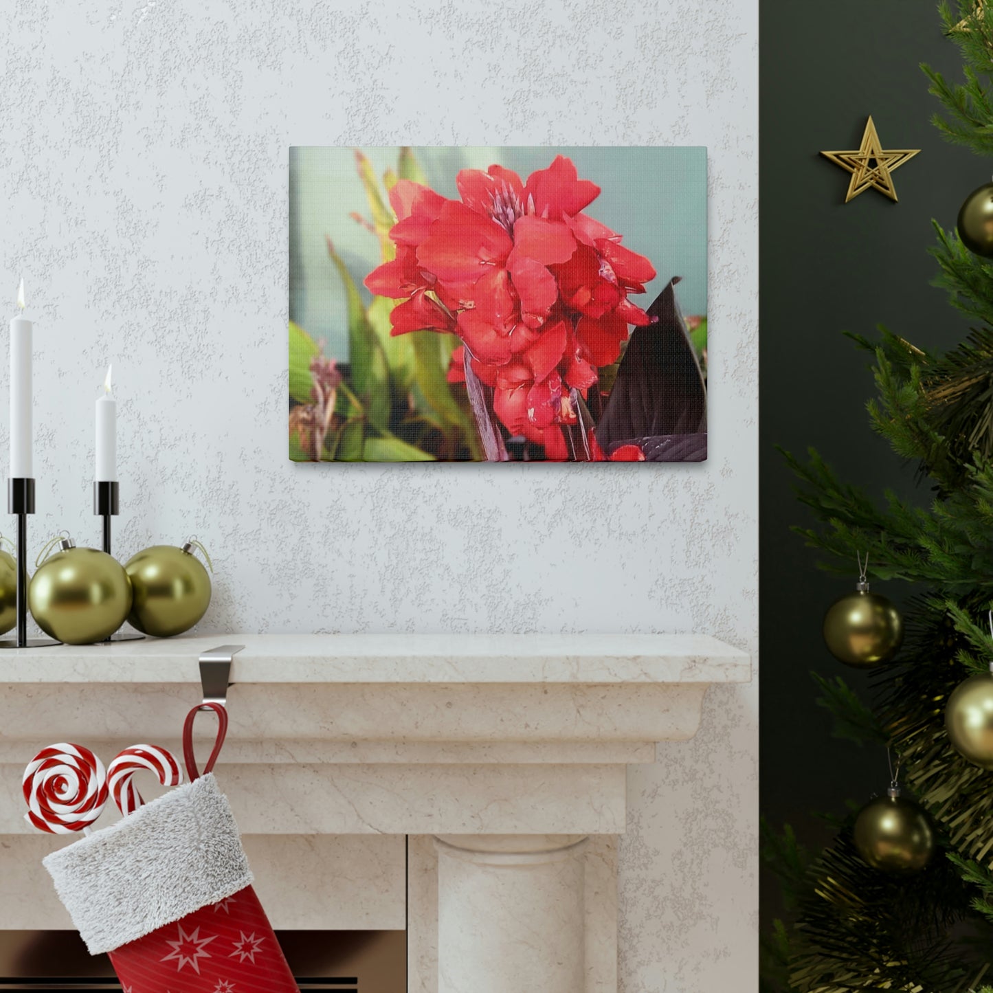 Red Canna | High Bloom Collection | Wall Art Print | Life By Ortavia