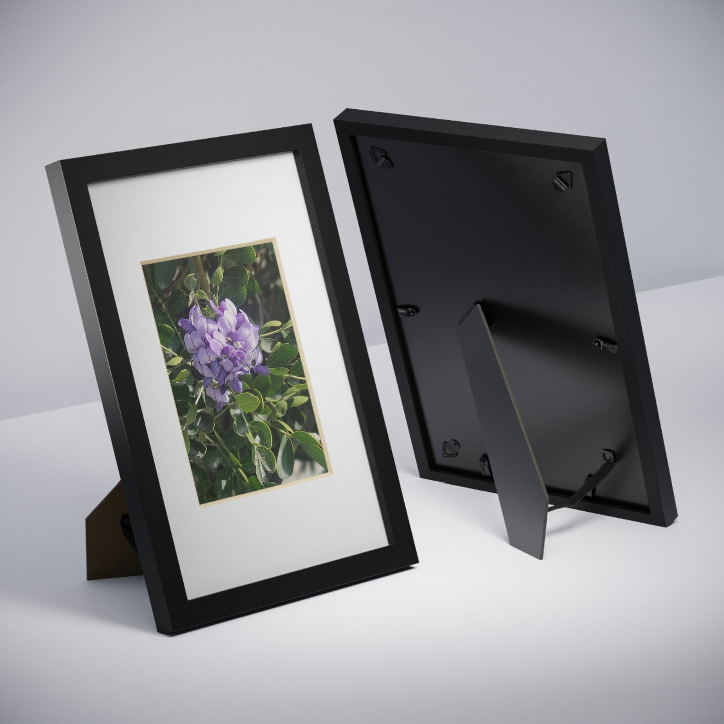 Framed Posters, Black