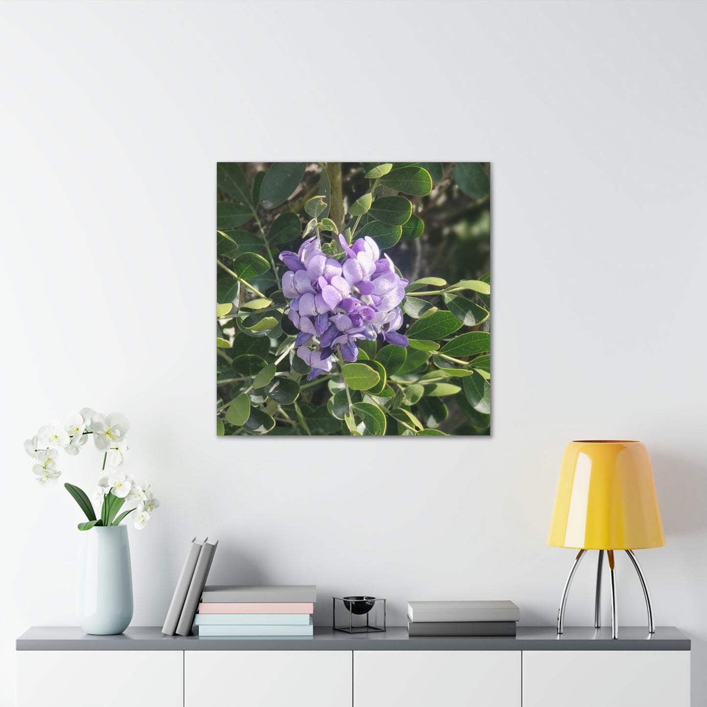 Purple Texas Mountain Laurel | Wall Art Canvas