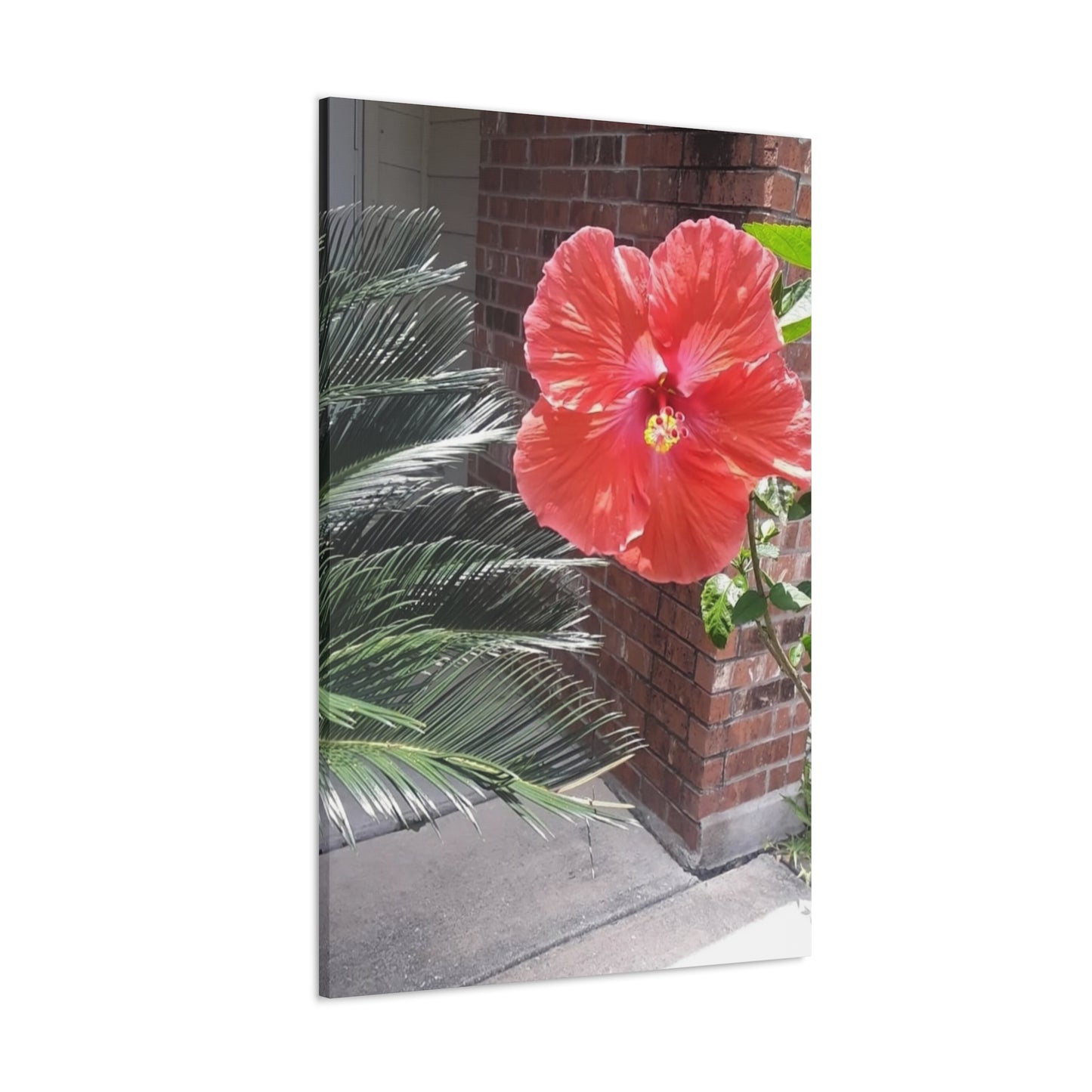Art Prints & Wall Art, Gallery Canvas with Peach Hibiscus Flower