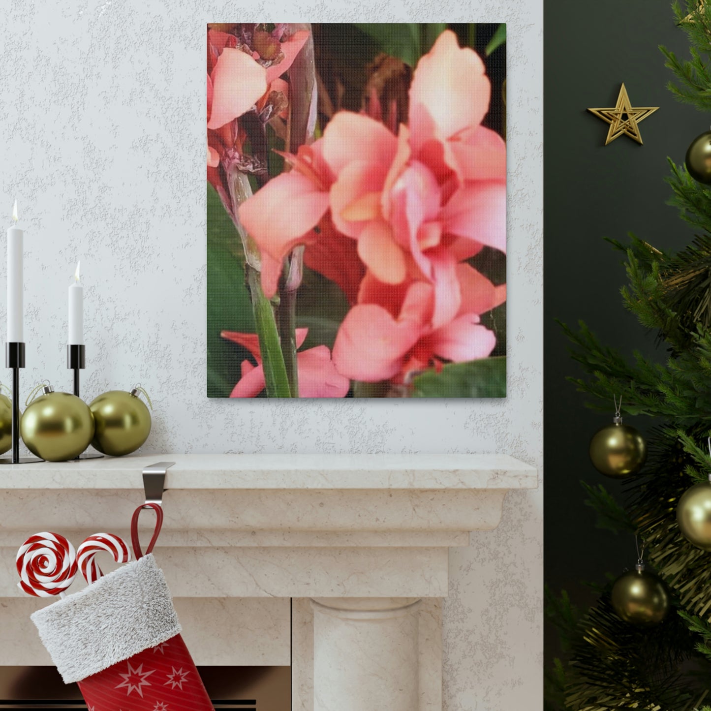 Art Prints & Wall Art, Canvas Gallery with Pink Canna Flower