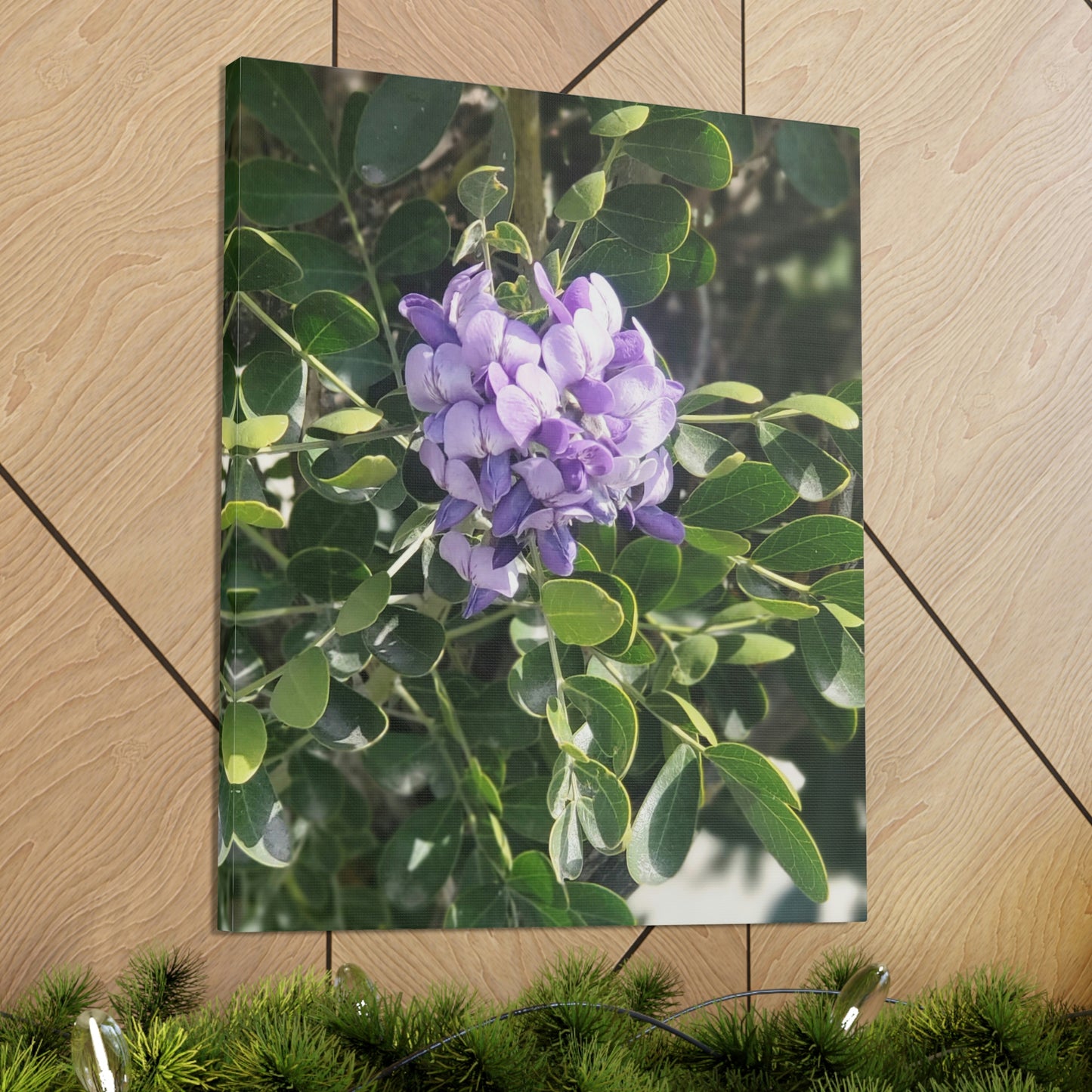Purple Texas Mountain Laurel | Wall Art Canvas