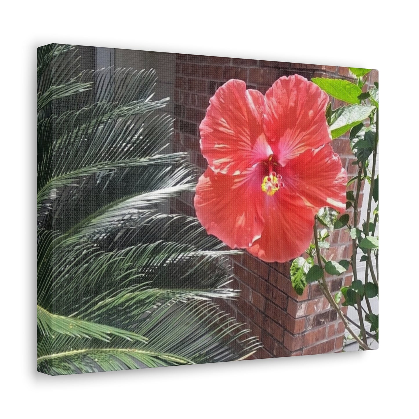 Art Prints & Wall Art, Gallery Canvas with Peach Hibiscus Flower