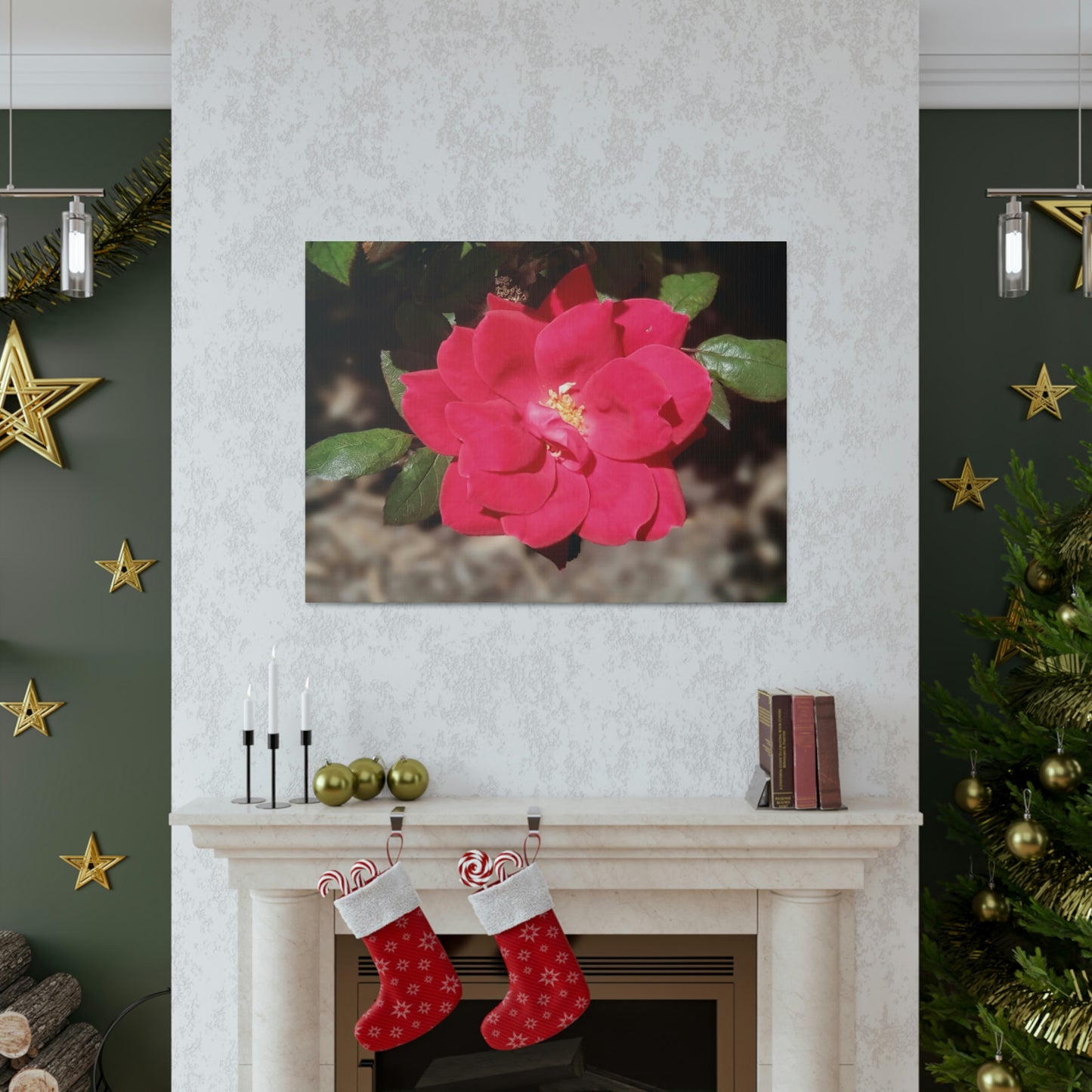 Knockout | Wall Art Print | High Bloom Collection | Life By Ortavia