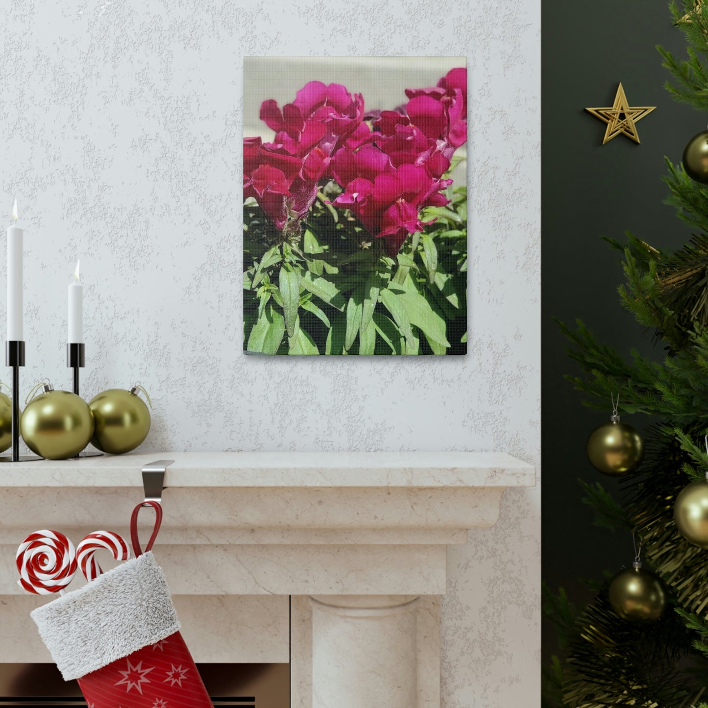 Magenta Snapdragon | Wall Art Canvas | High Bloom Collection | Life By Ortavia