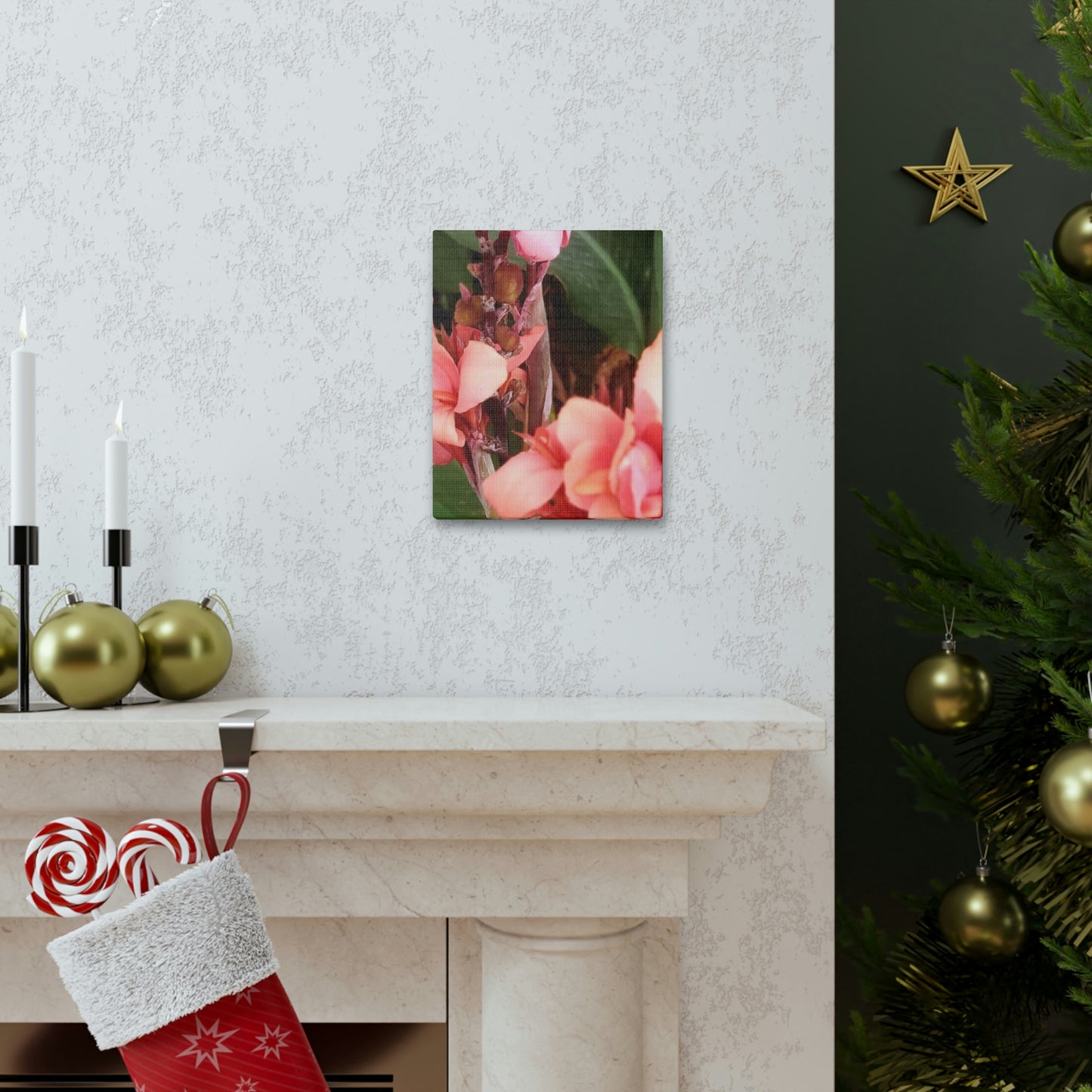 Art Prints & Wall Art, Canvas Gallery with Pink Canna Flower