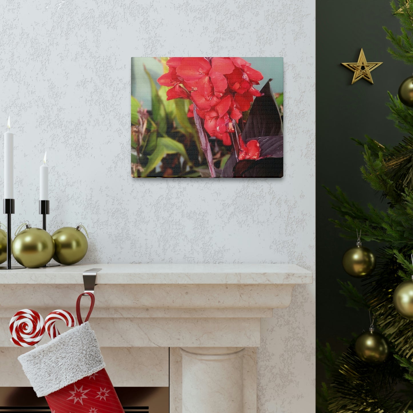 Red Canna | High Bloom Collection | Wall Art Print | Life By Ortavia
