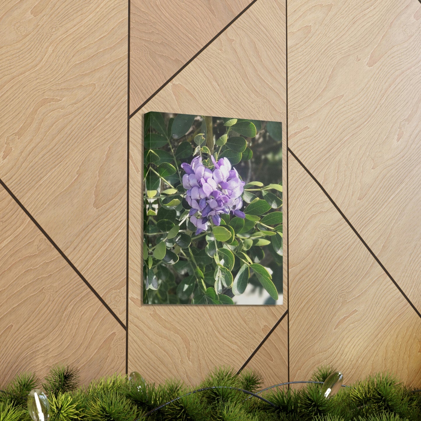 Purple Texas Mountain Laurel | Wall Art Canvas