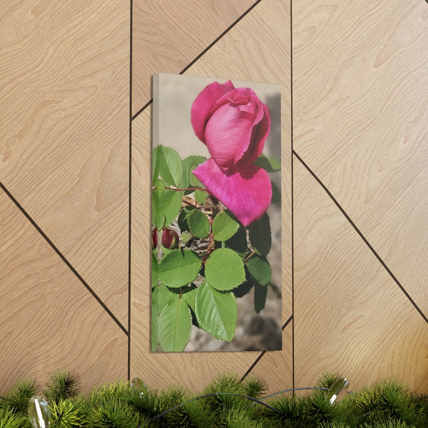 Dear Pink Rosa | High Bloom Collection | Canvas | Life By Ortavia