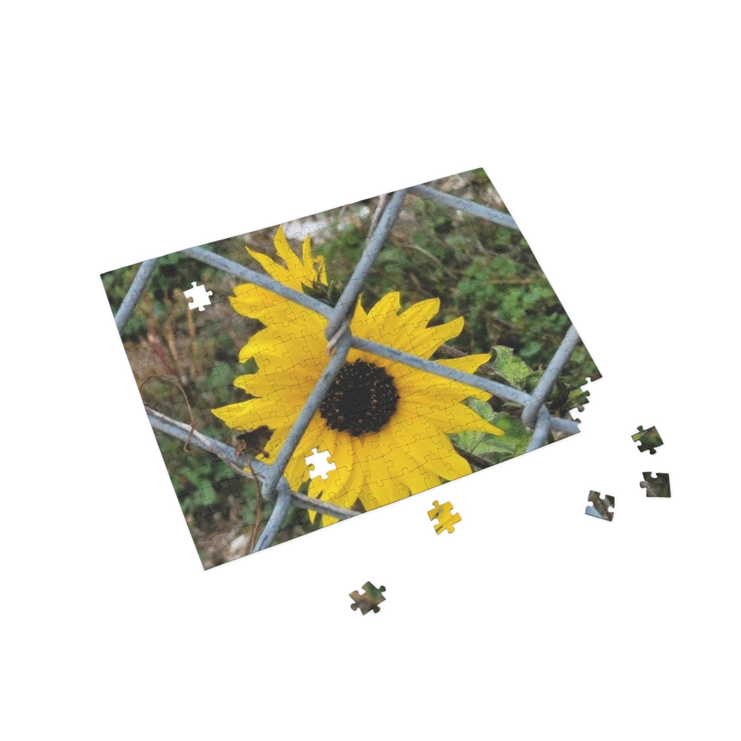 Sunflower Behind A Fence | 96 252 500 1000 pc Puzzle | Life By Ortavia